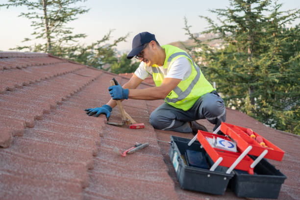 Best Roof Gutter Cleaning  in Ellis, KS